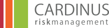 Risk Management Ergonomic and DSE Risk Assessments