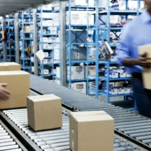 Cardinus - Materials Handling Course