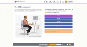 Office Ergonomics Risk Assessments