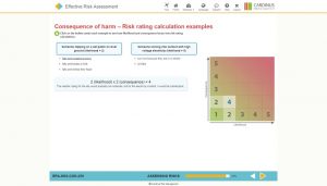 Consequence of Risk