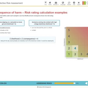 Consequence of Risk