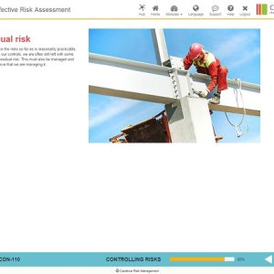Residual Risk