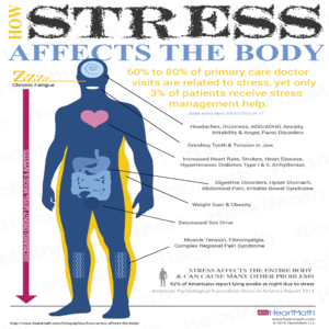 Diagram showing how stress affects the body