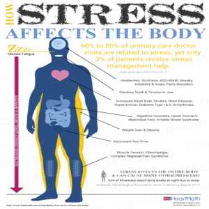 Diagram showing how stress affects the body