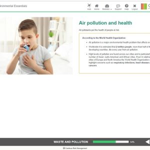 Air pollution and health
