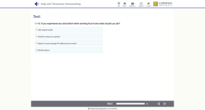Screenshot of homeworking test questions