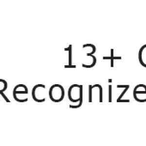 Globe illustration, 13+ globally recognized tools