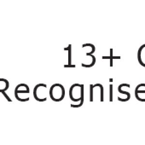 13+ Globally Recognized Ergonomics Assessment Tools in Healthy Working Pro