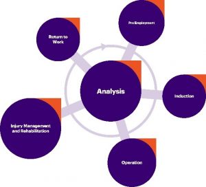 Graphics of a longitude analysis.