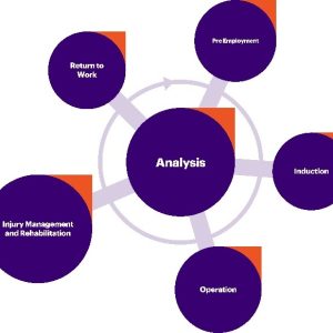 Graphics of a longitude analysis.