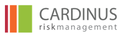 cardinus-logo-small Risk Management Ergonomic and DSE Risk Assessments