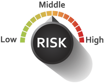 Fleet Risk Audit Tool