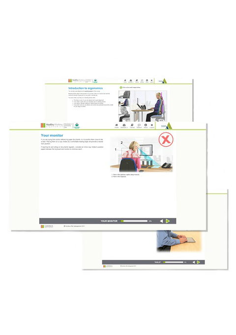 Screenshots from Healthy Working DSE Software Screenshots from Healthy Working DSE Software