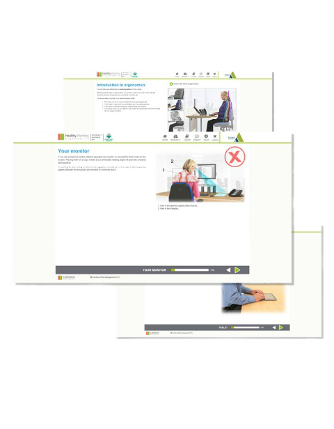 Screenshots from DSE e-learning software Healthy Working