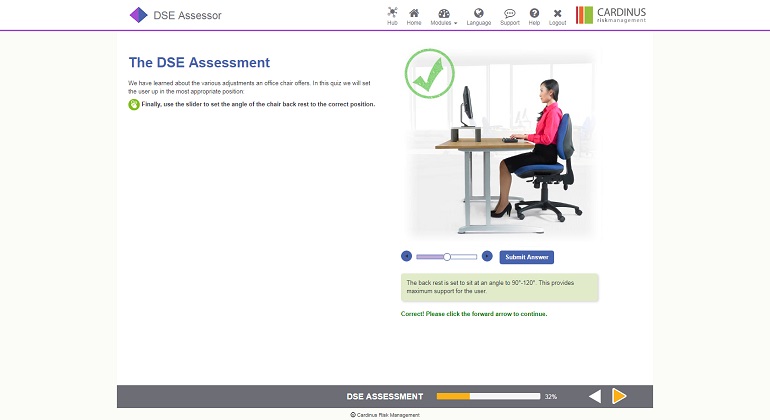 The DSE Assessment Back Rest