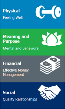 Cardinus positive workplace factors graphic: physical, meaning, financial and social 