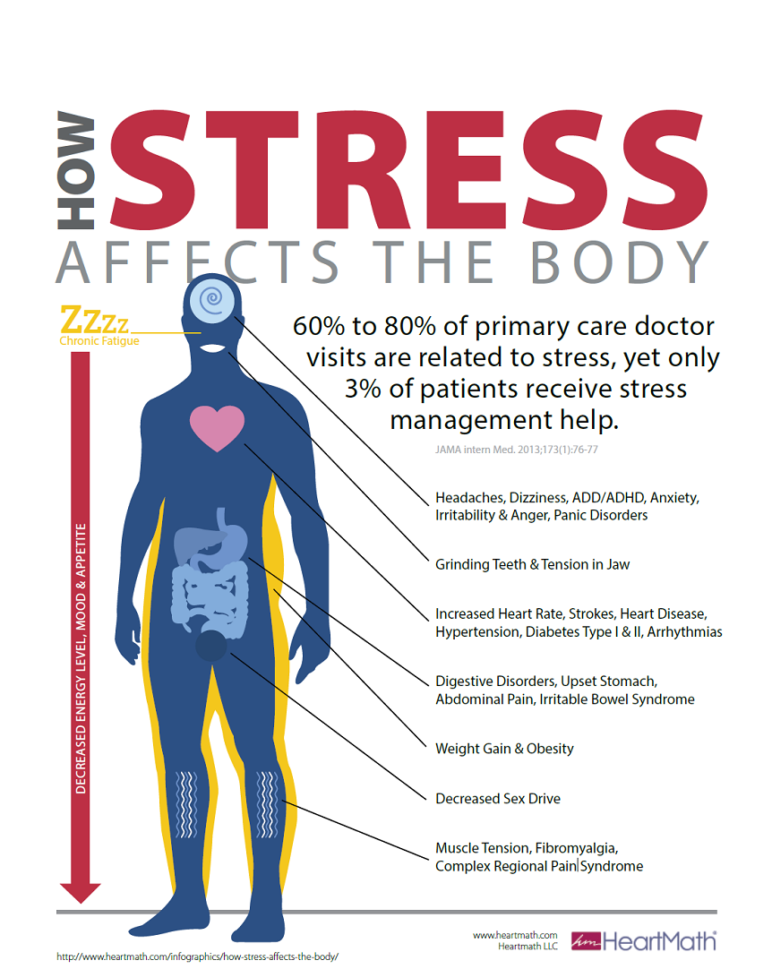 How stress affects the body infographic by Cardinus 