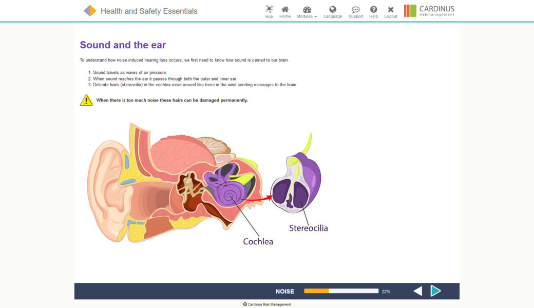 Health and Safety Essentials E-Learning | Healthy Working