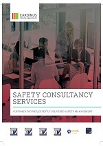 consultancy-services-brochure_2021