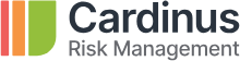 Risk Management Ergonomic and DSE Risk Assessments