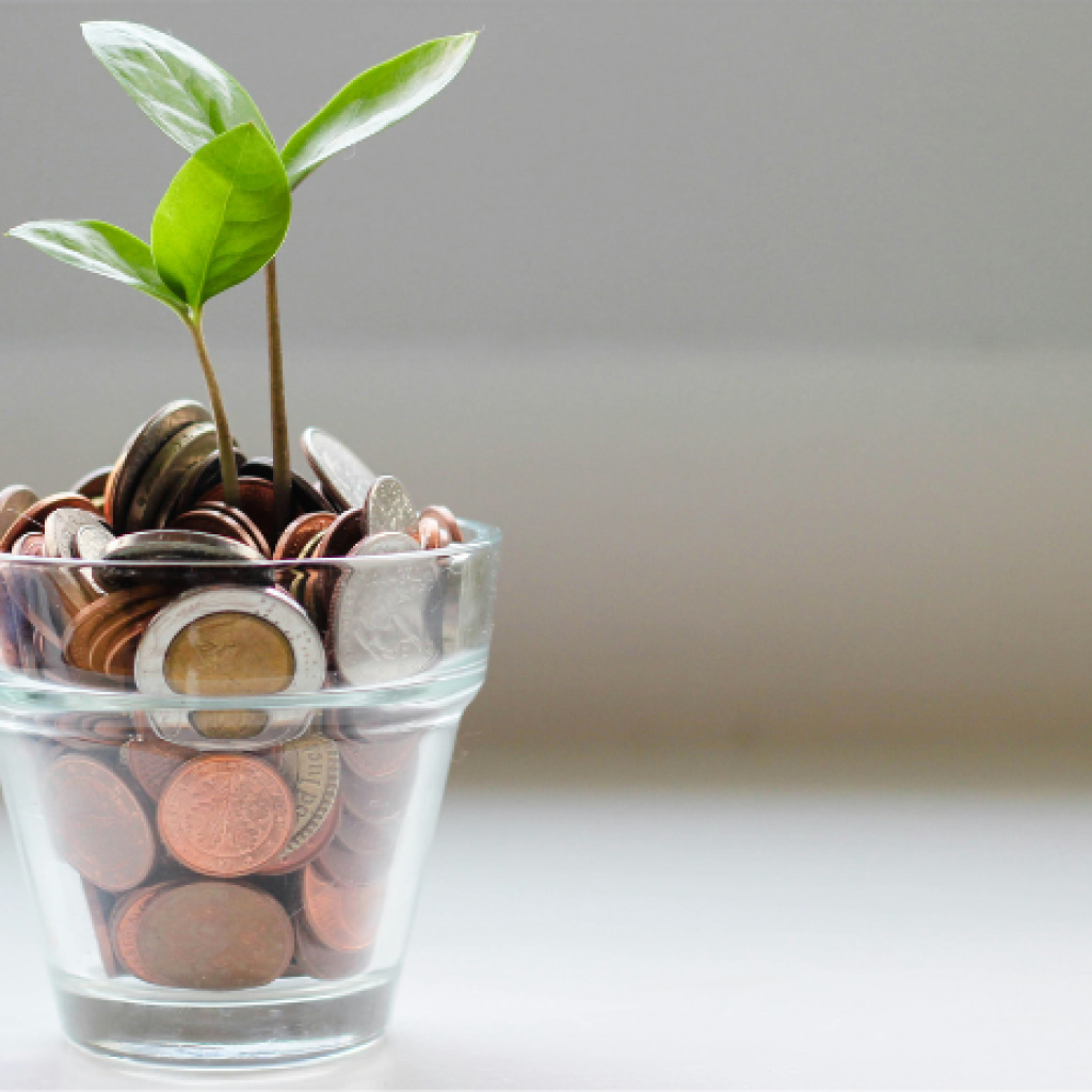 A sapling sprouting from coins in a small transparent plant pot