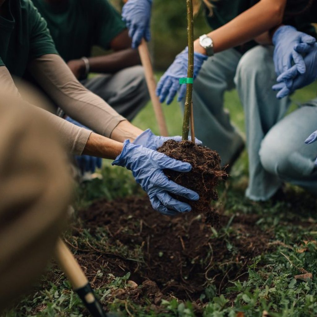 Cardinus joins forces with The Tree Council to plant thousands of trees across the UK