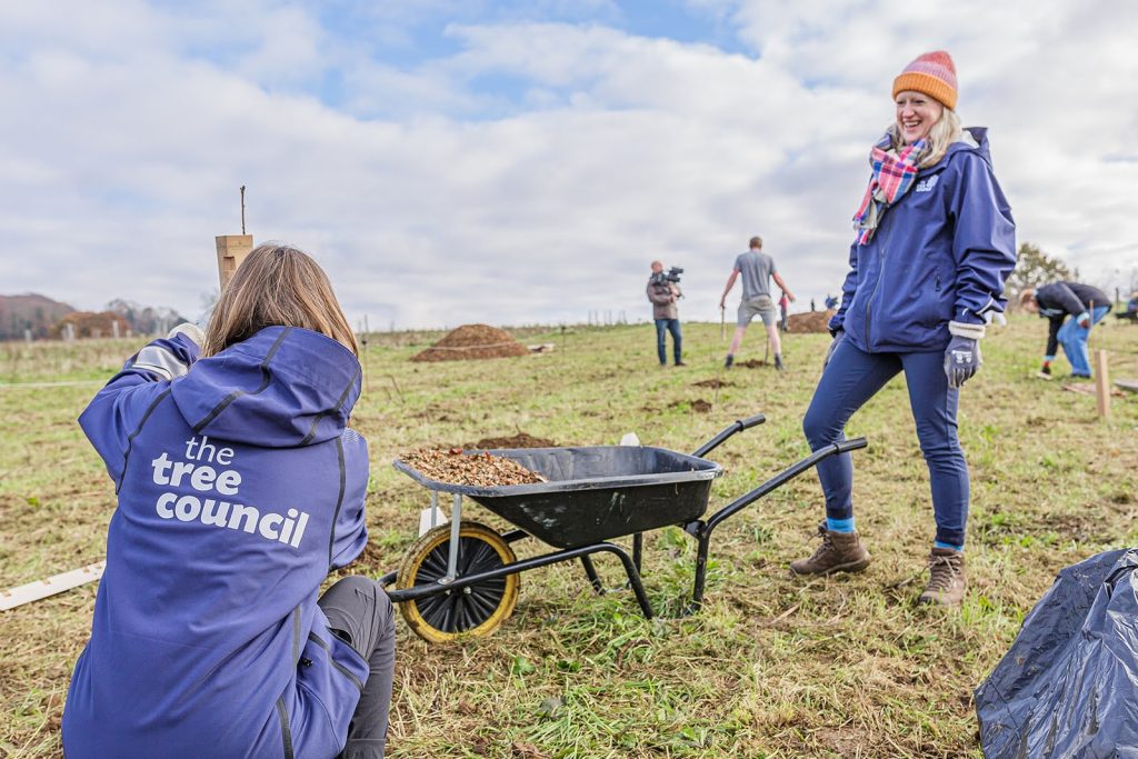 Cardinus joins forces with The Tree Council to plant thousands of trees across the UK